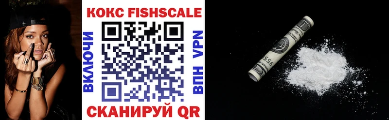 Купить закладки  Струнино  Cocaine FishScale 
