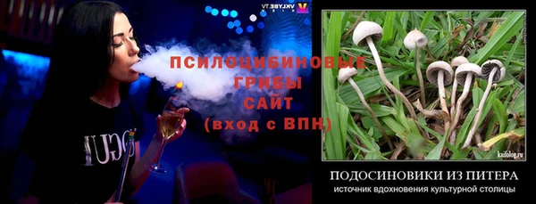 индика Аркадак