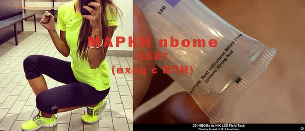 индика Аркадак