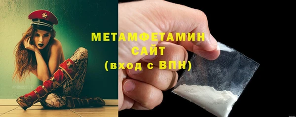 индика Аркадак