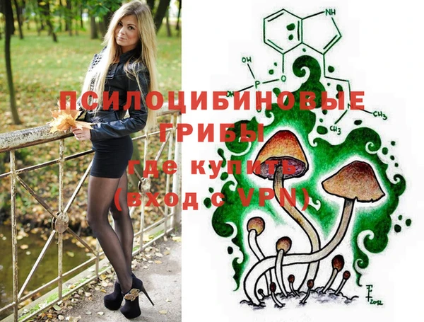 дмт Армянск