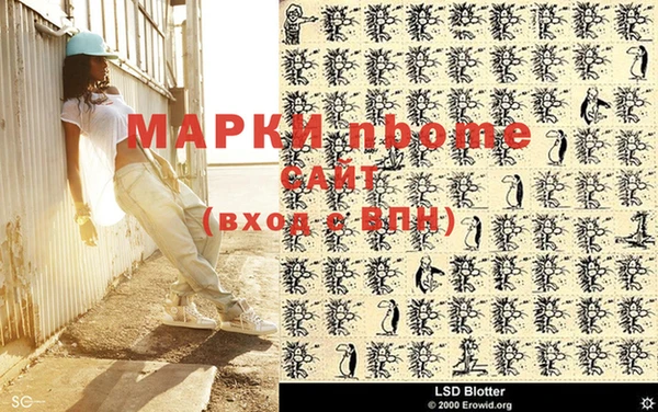 индика Аркадак