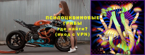 индика Аркадак