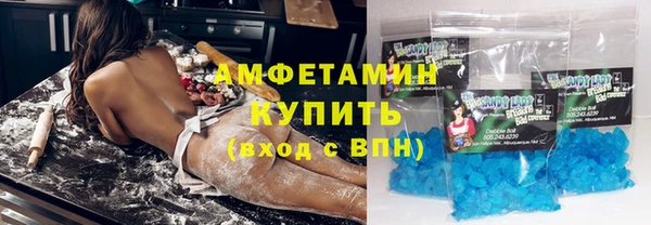 индика Аркадак
