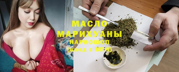 индика Аркадак