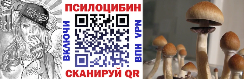 Галлюциногенные грибы Cubensis  Купить где  Струнино 